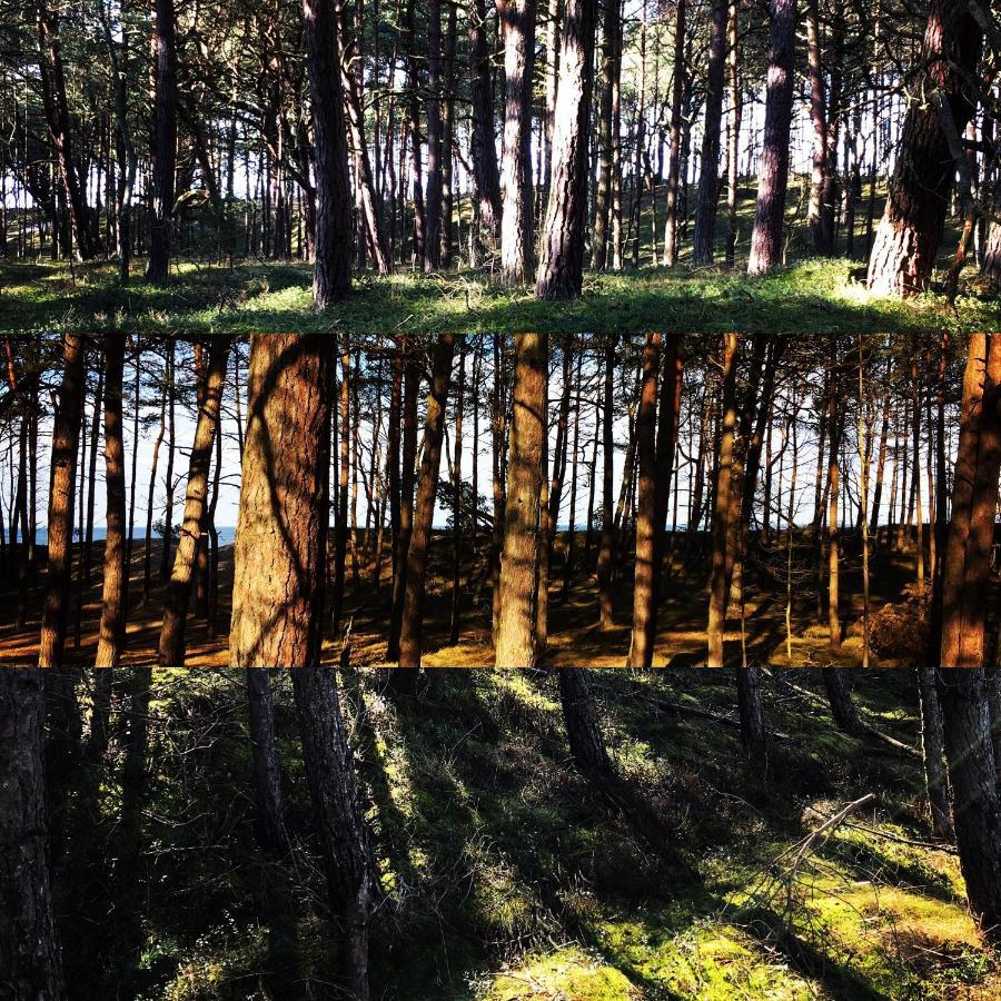 Pokoje Przy Plazy Dzwirzyno -Pelikan Resort Luaran gambar
